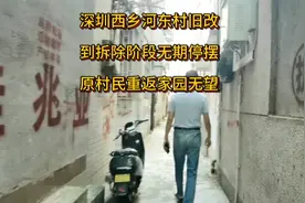 深圳西乡河东村旧改到拆除阶段无期停摆 原村民重返家园无望视频封面
