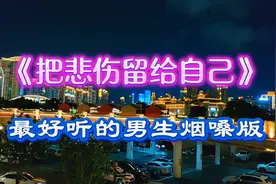 最好听的男生烟嗓版《把悲伤留给自己》深情走心，太感人视频封面