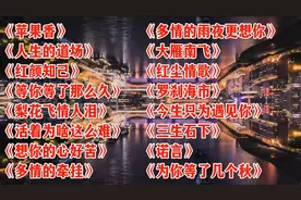 歌曲合集，夜幕下的城市，灯火辉煌，倒影如画。