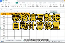 WPS Excel表格公式实现自动计算