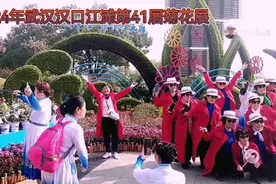 打卡2024年武汉第41届菊花展汉口江滩风帆广场主展区视频封面