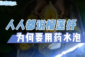 人人都说榴莲好，为何要用药水抛？