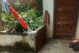 今天来玩捉迷藏，我是来找人的视频封面