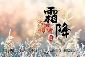 生肖猴，2024年霜降：10月24日-11月7日综合运势分析