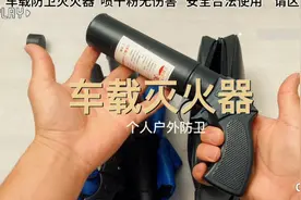 #灭火枪#消防枪#电子干粉喷枪#车载灭火器