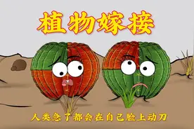 这又是人类干的好事啊，人类急了啥事儿都能干出来啊视频封面