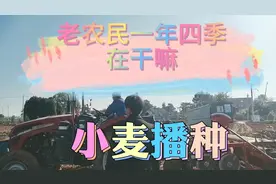 老农民一年四季在干嘛？收了小麦种玉米天天在地无假期。原创