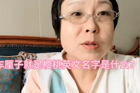 车厘子就是樱桃英文名字是什么？
