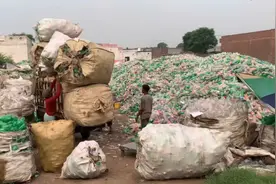 白沙瓦废品回收暴力行业回收塑料瓶子进行分解造粒生产聚酯纤维视频封面