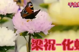 千古绝唱经典名曲《梁祝·化蝶》，凄美绝唱感人至深视频封面