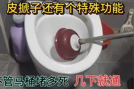 才知道，皮搋子还有个特殊功能，不管马桶堵多死，几下就通！视频封面