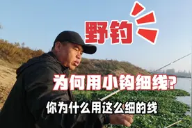 野钓为何提倡小钩细线？三个因素直接关乎你的鱼获，看完长知识了视频封面