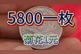 这种菊花1元硬币一枚价值5800看看你家有没有#爱收藏视频封面