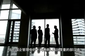国企管理中的十大通病视频封面