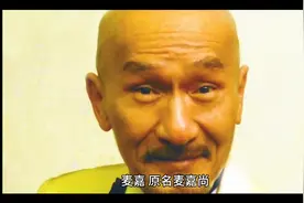 麦嘉个人简介图片