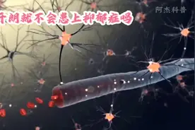 性格开朗的人就不会患上抑郁症吗 看到最后明白了视频封面