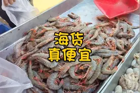 天津老两口床车自驾到山东荣成市场，海货特别便宜，看啥都想买视频封面