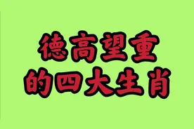 德高望重，受人尊敬的五大生肖，快去看看其中有没有你视频封面