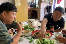 东北炖菜能有多香，茄子辣椒土豆豆角一锅出，嘎嘎下饭视频封面