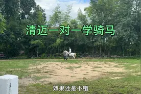 清迈学骑马，700฿45分钟，老师一对一教学，需要提前一天预约。