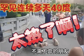 近期河北出现罕见连续多天40度以上高温，太热了啊！！视频封面