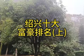 绍兴十大富豪排名(上)视频封面