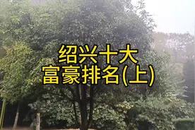 绍兴十大富豪排名(上)视频封面