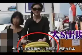 大S日本之行，病故他乡视频封面