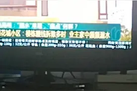 上海新闻综合频道节目新闻坊