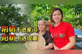 “阴树不进家门，阳树不进坟墓”，哪些是阴树，你家里有吗？