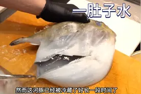 冷藏了一个多月的河豚，一肚子的水，竟然还能吃，最后做成鱼汤喝视频封面