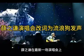 薛之谦演唱会改词为流浪狗发声视频封面