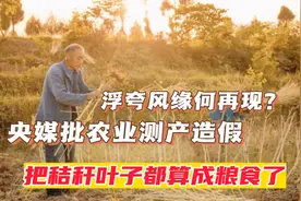 浮夸风缘何再现？央媒批农业测产造假：把秸秆叶子都算成粮食了视频封面