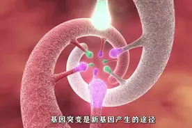 基因在进化过程中失去了，基因的重要性视频封面