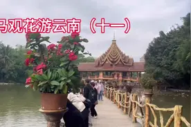 走马观花游云南（十一）西双版纳中科院植物园、傣族园视频封面