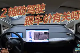 都是L2辅助驾驶，差距就这么大？也就最后的两个功能靠谱点！视频封面