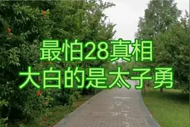 最怕28真相大白的是太子勇！