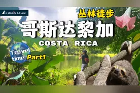 一场全感官探险 住丛林小木屋寻找哥斯达黎加的神秘幻境 奇异植物视频封面