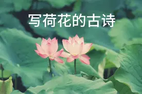 七首写荷花的古诗，来看看哪些是你知道的？视频封面