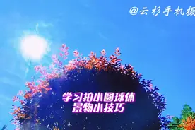 学习拍小圆球体景物小技巧视频封面