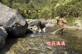 想吃鱼了，和大伯在小溪里抓到很多溪石斑鱼，红烧了一锅真鲜美视频封面