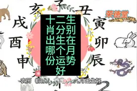 十二生肖分别出生在哪个月份运势好视频封面