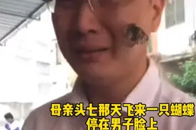母亲因病离世，头七那天飞来一只蝴蝶，停在儿子脸上久久不愿离去视频封面