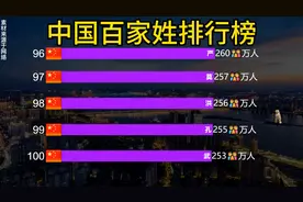 2025中国百家姓排行榜！看看各自姓氏在全国有多少万人！#百家姓视频封面