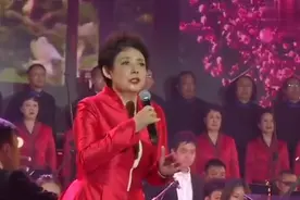 陈力含泪演唱《葬花吟》把观众唱哭了视频封面