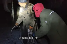 杀年猪有多疯狂，零下30度半夜去山里抓猪，用了三个计谋抓3猪视频封面