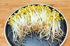 绿豆用开水烫一烫，1天就发芽，2天就能吃，第一次见这发豆芽方法视频封面