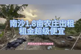 南沙1.8亩农庄出租。有鱼塘 可住人 已通水电。租金便宜
