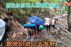 尼泊尔山区当地人致富有窍门，抓住这一个月的虫草季，月入过万视频封面