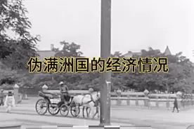 伪满洲国的经济情况 #伪满洲国 #伪满 #长春视频封面